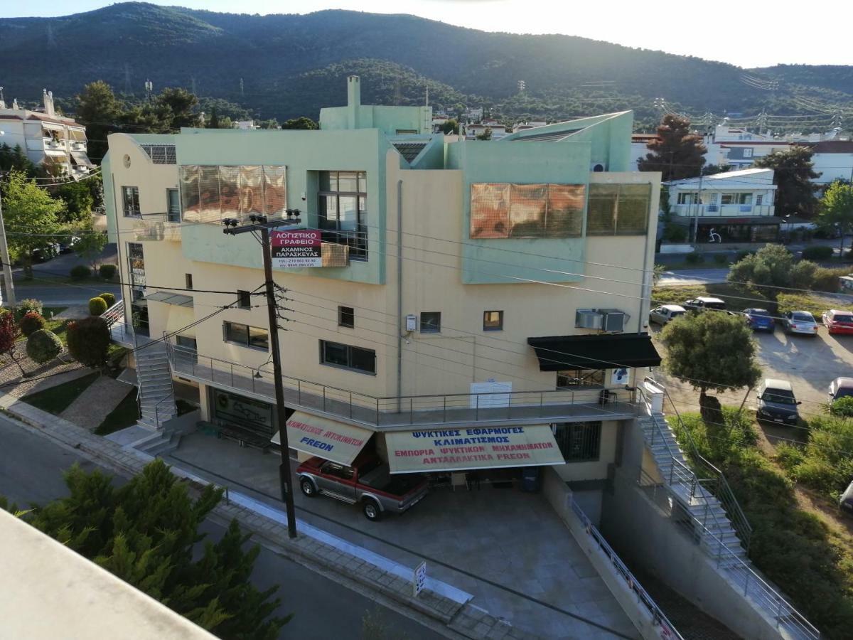 Apartment Spacious & Modern Near The Airport *