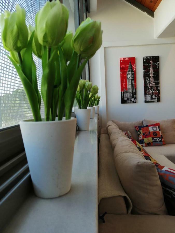 Spacious & Modern Near The Airport *
